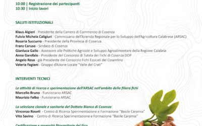 Giovedì 19/09/24 Convegno QUALITA’ DEL MATERIALE DI PROPAGAZIONE DEL FICO: STATO DELL’ARTE